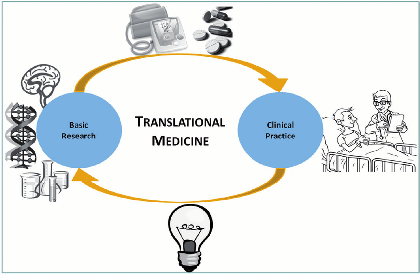 Knowledge workflow in translational medicine