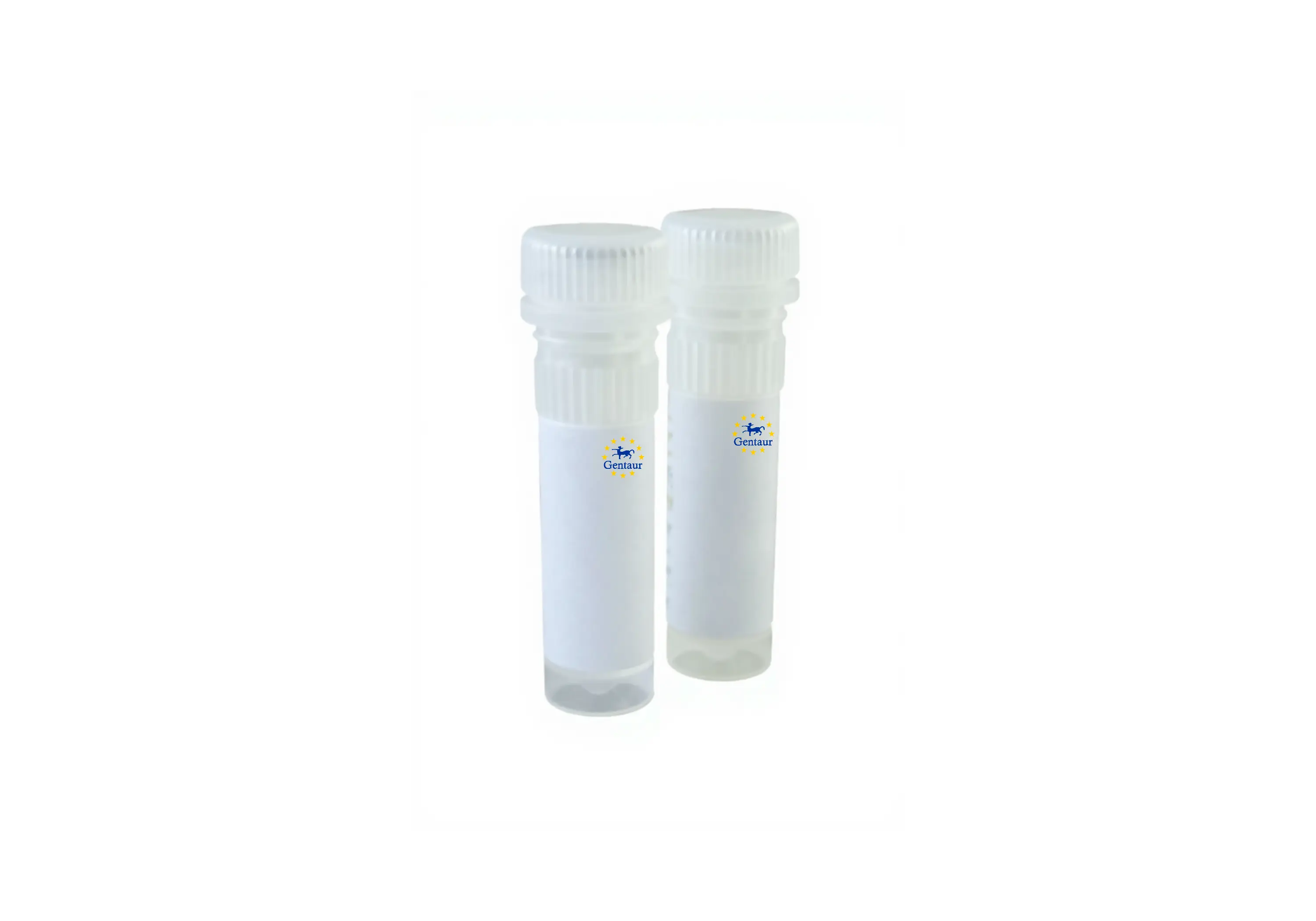  gel extraction kit 